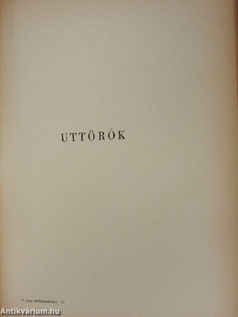 A nagy indiánuskönyv