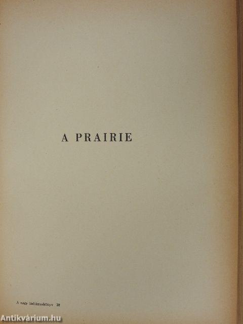 A nagy indiánuskönyv