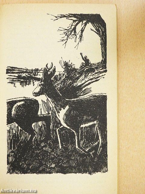 A Bujdosó-zátony foglyai