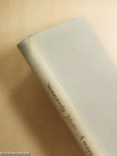 A magyar széppróza születése