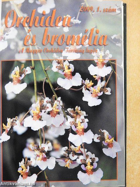 Orchidea és bromélia 2009/1-4.
