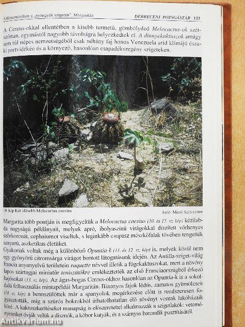 Debreceni Pozsgástár 2002/1-4.