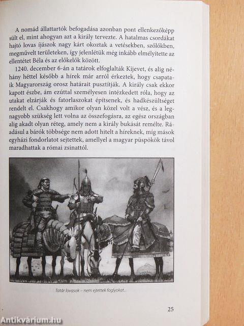 Kiskirályok kora a magyar történelemben