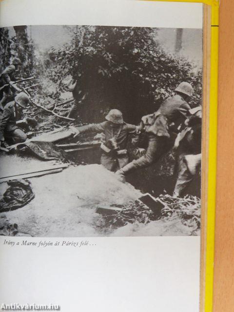 A császári sas lehull