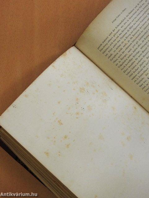 Illustrirte Culturgeschichte