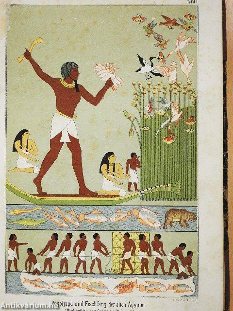 Illustrirte Culturgeschichte