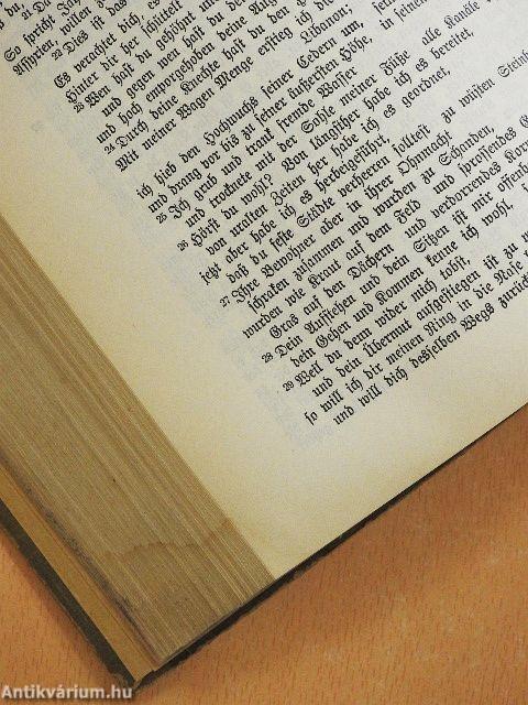 Textbibel des Alten und Neuen Testaments (gótbetűs)