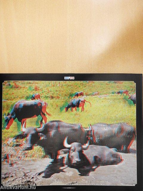 3D utazás Erdélyben