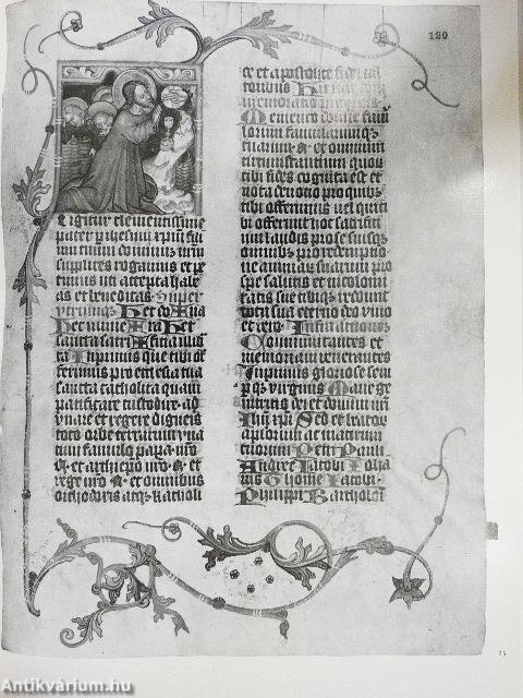 Magyar kódexek a XI-XVI. században