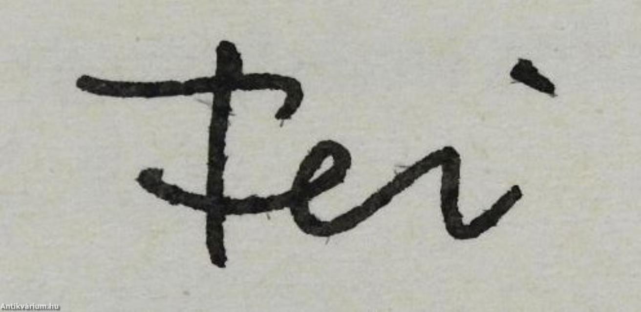 Magyarok a Kárpát-medencében (dedikált példány)