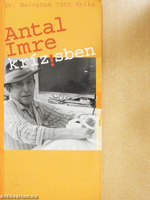 Antal Imre krízisben