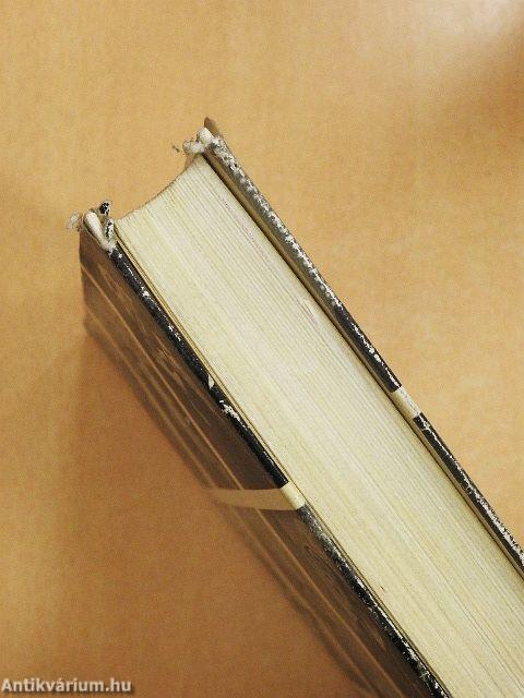 Több nyelven beszélünk