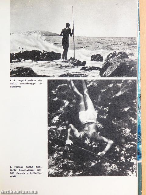 Vadászok a tenger mélyén