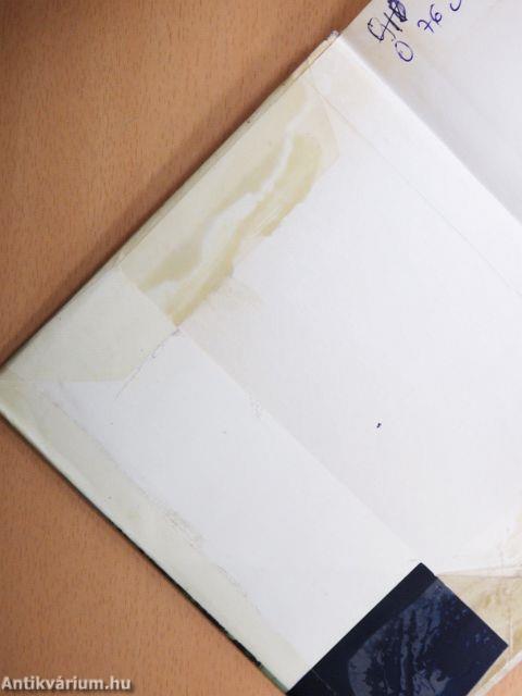 Buenos Airestől Mexikóvárosig