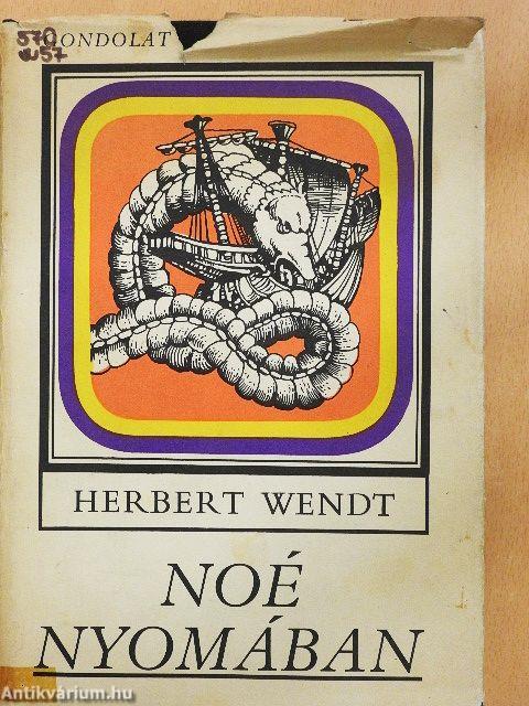 Noé nyomában