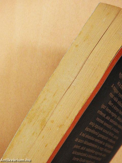 Thompson és Tsa utazási iroda