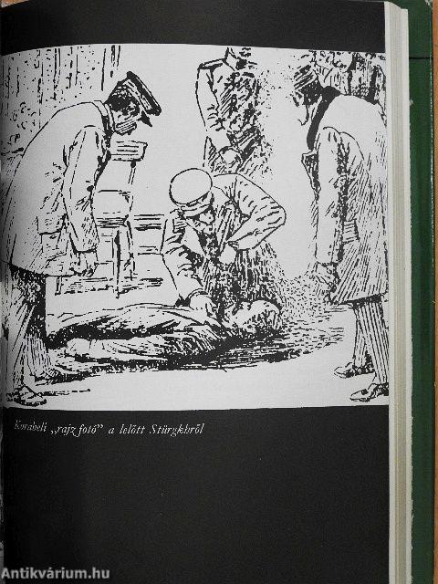 Pisztolylövés Bécsben