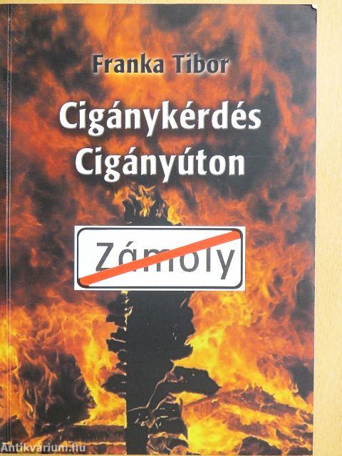 Cigánykérdés cigányúton