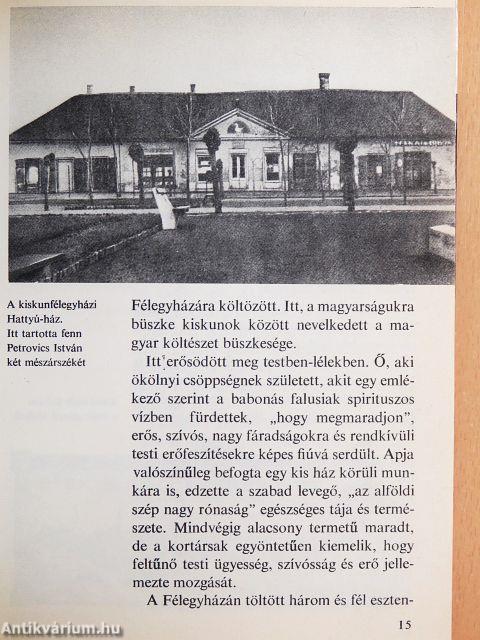 Így élt a szabadságharc költője