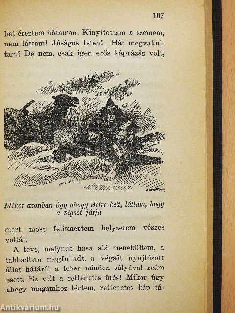 Egy magyar diák kalandjai Ázsiában