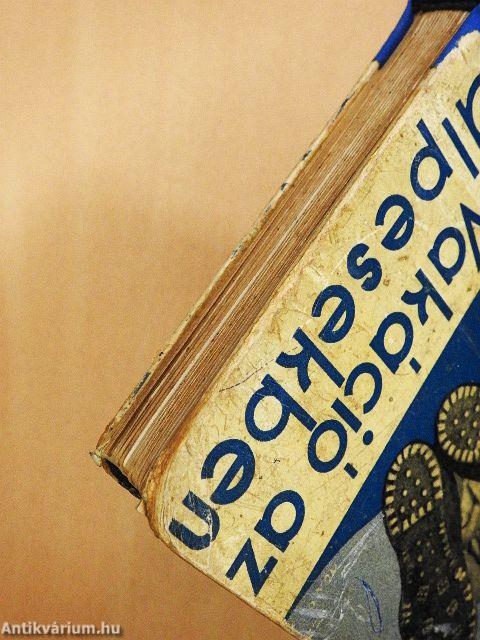 Vakáció az Alpesekben