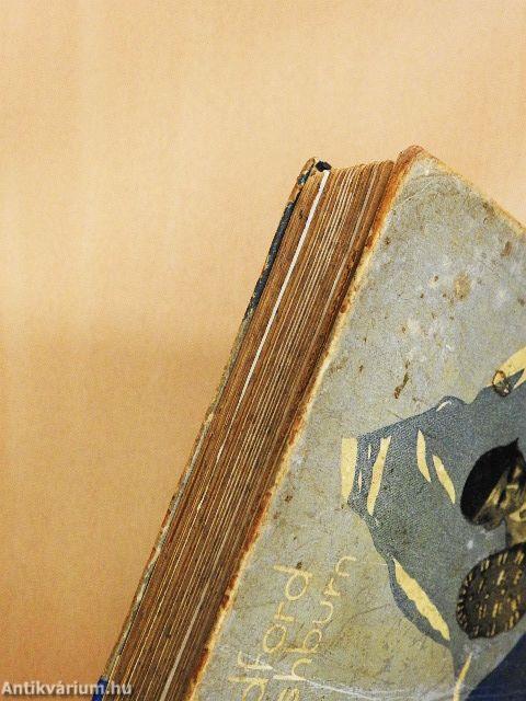 Vakáció az Alpesekben