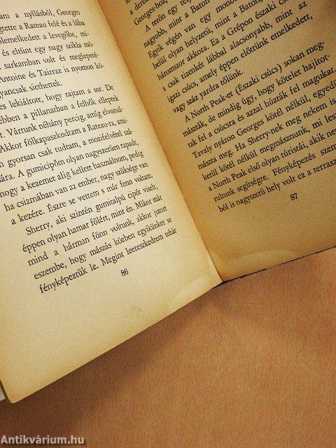 Vakáció az Alpesekben