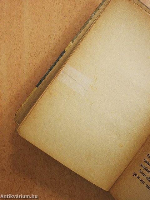 Vakáció az Alpesekben