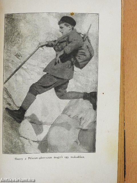 Vakáció az Alpesekben