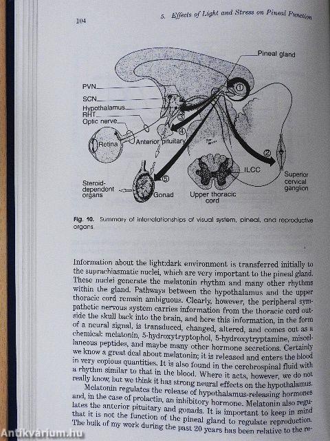 Extremely Low Frequency Electromagnetic Fields: The Question of Cancer