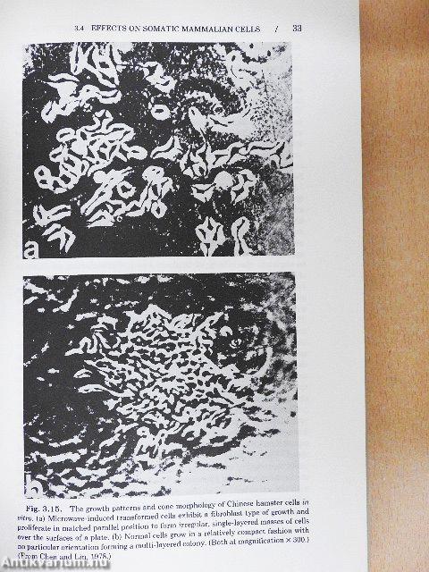 Biological Effects and Exposure Criteria for Radiofrequency Electromagnetic Fields
