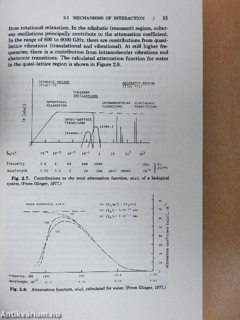 Biological Effects and Exposure Criteria for Radiofrequency Electromagnetic Fields