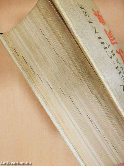 A New English-Chinese Dictionary