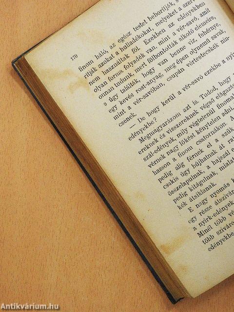 Egy falat kenyér története