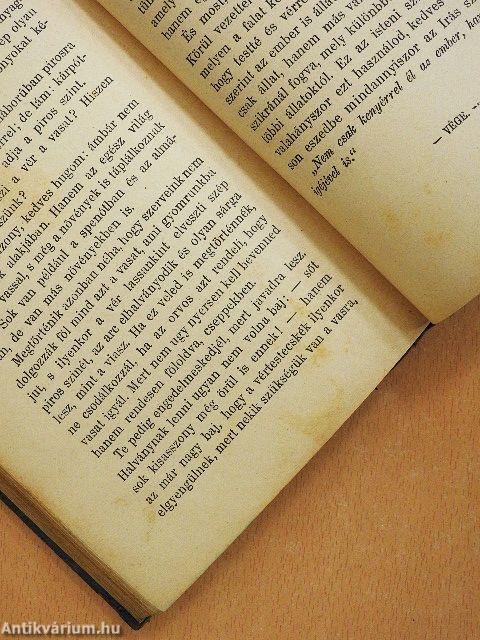 Egy falat kenyér története