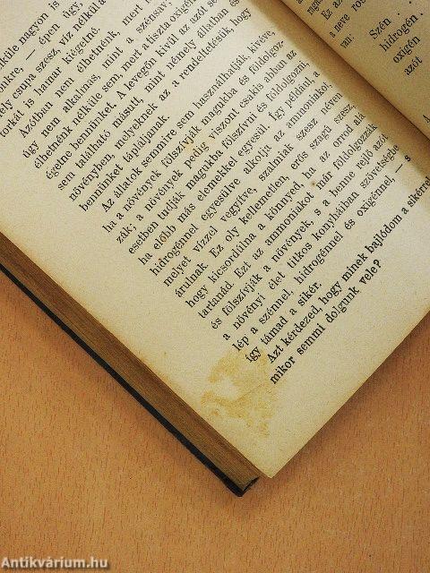 Egy falat kenyér története