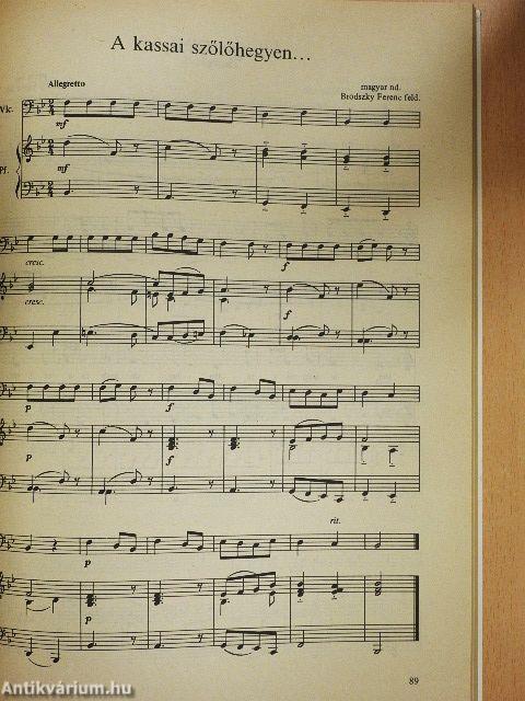 Hangszeres kiegészítő