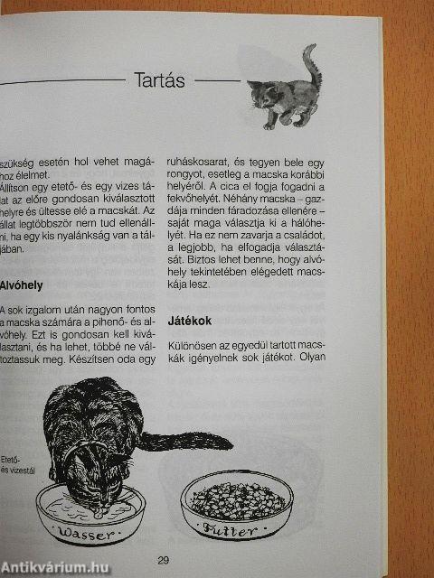 A macska 
