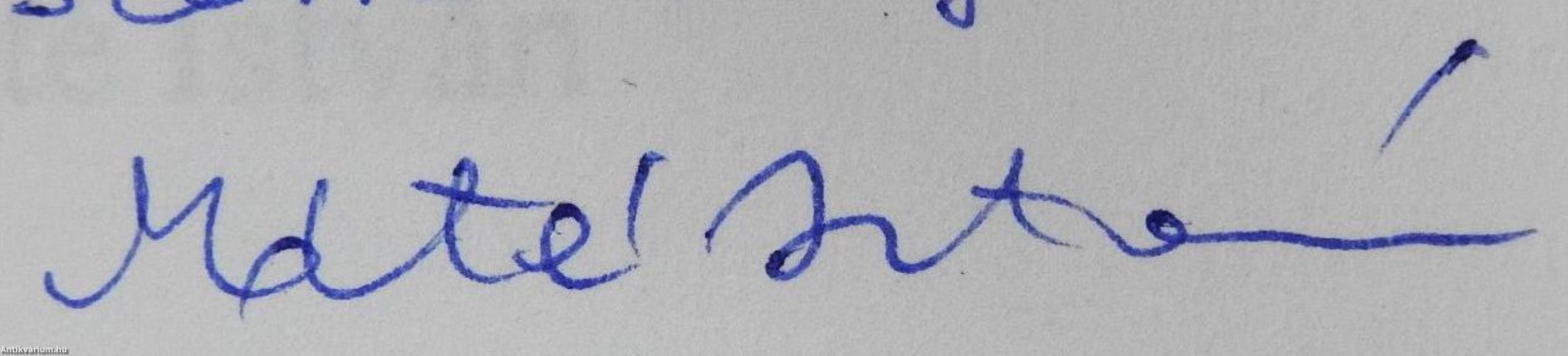 Bronztükör (dedikált példány)