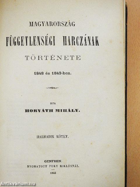 Magyarország függetlenségi harczának története III. (töredék)