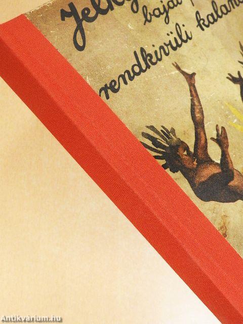 Jelky András bajai fiú rendkivüli kalandjai ötödfél világrészben