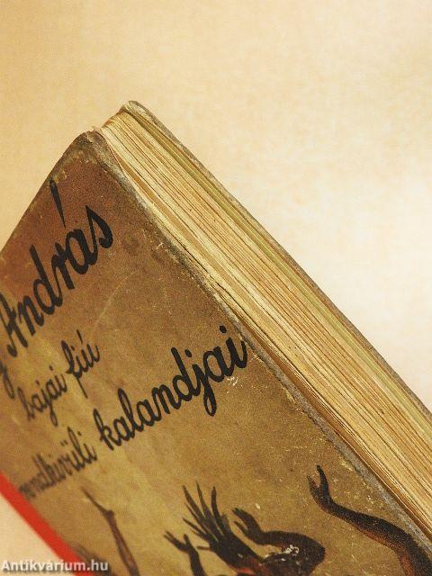 Jelky András bajai fiú rendkivüli kalandjai ötödfél világrészben