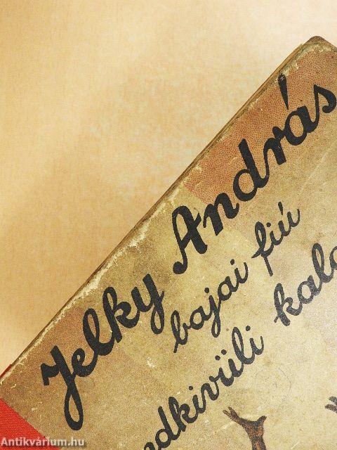 Jelky András bajai fiú rendkivüli kalandjai ötödfél világrészben