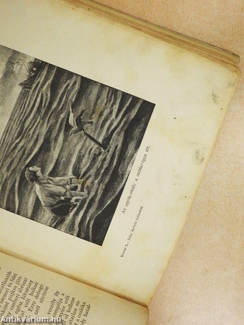 Jelky András bajai fiú rendkivüli kalandjai ötödfél világrészben