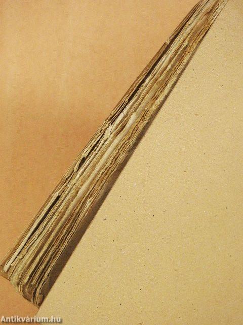 Bilincs és kancsuka