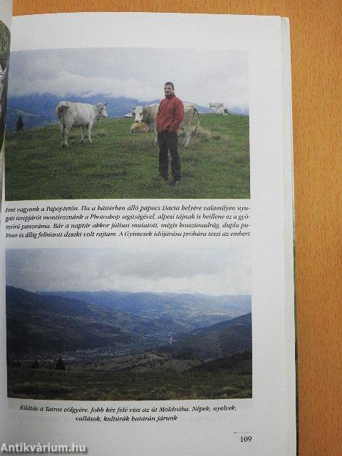 Felnőttkorom legszebb nyara