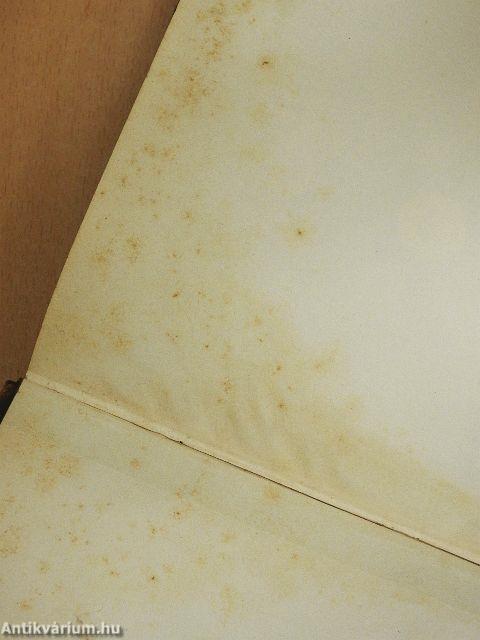 Das Eiserne Jahrhundert (gótbetűs)