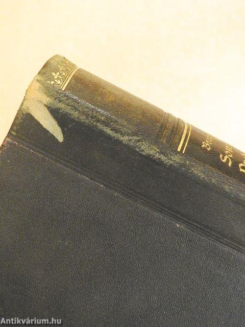 Einfache und kurze Predigten auf alle Sonntage des Kirchenjahres (gótbetűs)