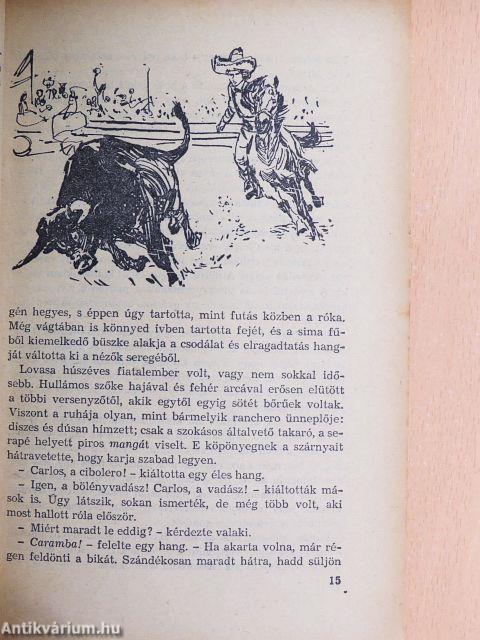 A fehér törzsfőnök