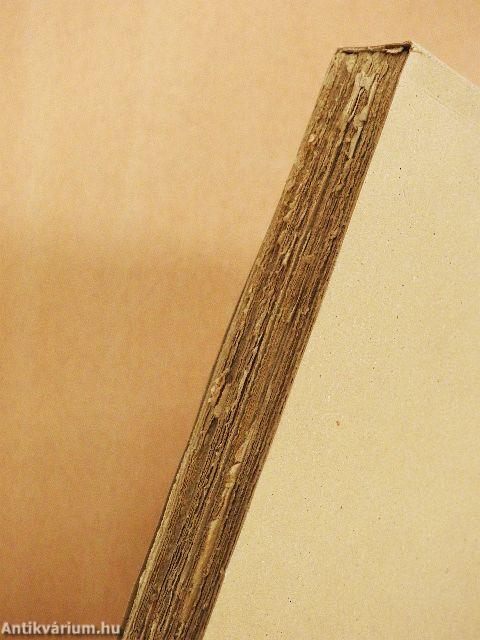 Flandria oroszlánja